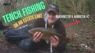 FEEDER fishing for TENCH on a LOCAL ESTATE LAKE part 2 Washington and Harraton Angling Club [upl. by Aititel821]