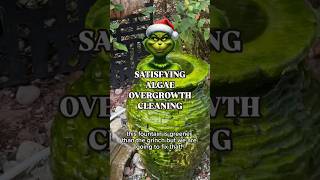 Satisfying Algae OVERGROWTH Fountain cleaning 🧽🫧 cleaning green shorts [upl. by Warden]