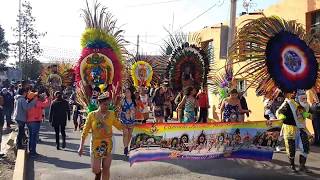 Desfile 2018 carnaval El Toro Barrio La Palma Sta Isabel Ixtapan Atenco [upl. by Anemolif]