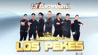 ARMANDO Y LOS PEKES 2024 [upl. by Sivaj]