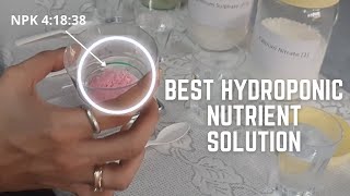 How to make hydroponic nutrient solution at home detailed step by step guide [upl. by Nahs]