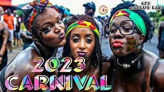 Grenada carnival sauteurs Jouvert\\ 2023 JAB JAB NORTHSIDE \\ StPatricks  473 [upl. by Lavine133]