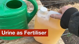 Using Urine as Fertiliser [upl. by Nelluc]