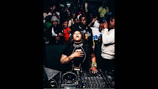 Amapiano mix 2023DBN GogoExpensive selection ep 3 🔥🔥🔥🔥 [upl. by Garvin]