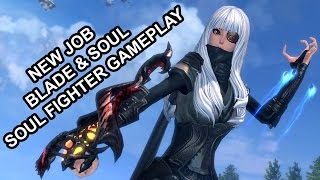 Blade amp Soul Online New Class Soul Fighter Gameplay Level 50 [upl. by Williamson]