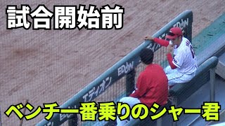 【現地撮影映像】試合開始前。ベンチ1番乗りは、シャー君・矢野雅哉。グラウンド内を時折見ながら、スタッフトレーナー？と話し込んでます。 2024年8月31日 vs ヤクルト [upl. by Aranat287]