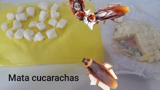 COMO ELIMINAR CUCARACHAS DE TU HOGAR CON SOLO 3 INGREDIENTES forma casera [upl. by Toole]