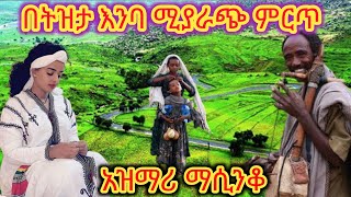 Ethiopia ምርጥ የትዝታ አዝማሪ ማሲንቆ  Best Ethiopian Traditional Azmari Masinko 663 [upl. by Longmire594]