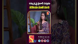 రమ్యకృష్ణ డైలాగ్ చెప్తాను నరసింహ మూవీ నుంచి  Uppal BaluampSathya Fun Interview  Sasi Tv [upl. by Alimat]