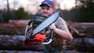 Harvesting White Oak GOLD A journey into harvesting stave grade logs [upl. by Alraep430]