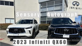 Autograph vs Sensory 2023 Infiniti QX60 [upl. by Luciana]