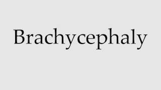 How to Pronounce Brachycephaly [upl. by Clotilde]