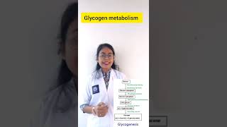 Glycogen metabolism Glycogenesis part 1 harmonal regulation of glycogen metabolism [upl. by Rosalia165]