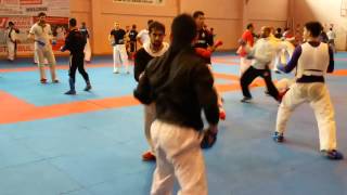 Martial Arts  Rafael Aghayev 5 th international Training [upl. by Ailbert891]