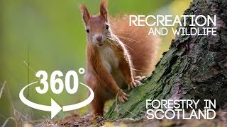 Forestry in Scotland 360 VR Teaser 1  quotRecreation and Wildlifequot  WATCH IN 4K [upl. by Norrat]