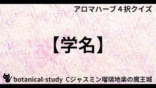 00501【学名】『トゥルーバルサム』油の学名【アロマハーブ４択クイズ】 [upl. by Lanuk109]