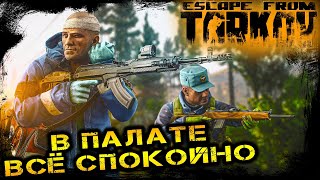 ТАРКОВ PVE  ДОКАЧАТЬ УБЕЖИЩЕ  Escape from Tarkov [upl. by Onek912]