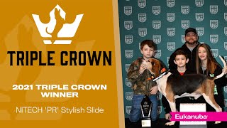 2021 UKC Triple Crown Winner Justin Wallace with NITECH PR Stylish Slide [upl. by Assyn]