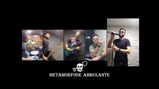 Metamorfose Ambulante Raul Seixas Cover  Banda Dedé Carvoeiro [upl. by Sup399]