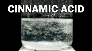 Making Cinnamic Acid [upl. by Enenaj117]