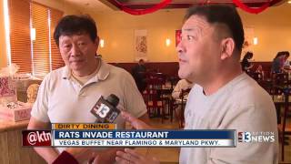 Dirty Dining features rats at Vegas Buffet [upl. by Lavotsirc931]