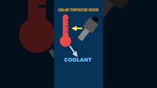 Coolant Temperature Sensor [upl. by Galligan]