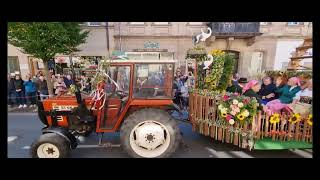 Erntedankfestzug Fürth Full Parade [upl. by Mcgurn]