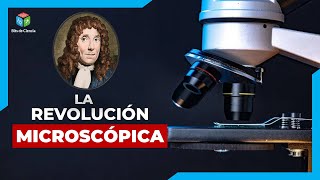 ▷ DESCUBRIENDO UN MUNDO INVISIBLE LEEUWENHOEK y los MICROORGANISMOS [upl. by Milson]