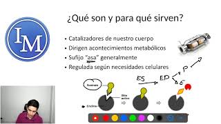 Bioquímica  Enzimas  Catalizadores Enzimáticos [upl. by Etac]