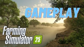 LS25 erstes Gameplay Dynamischer Nebel Reisanbau Wasseranimation und noch viel mehr [upl. by Liauqram]