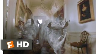 Jumanji 48 Movie CLIP  Stampede 1995 HD [upl. by Asilanom]