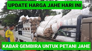 HARGA JAHE GAJAH HARI INI  PENGIRIMAN JAHE KE MEDAN [upl. by Sargent]