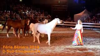 FERIA BÉZIERS 2018 © LES NUITS ÉQUESTRES  Sylvie Willms  CAVALS SUD [upl. by Bohun531]