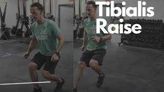 Tibialis Raise  How to do it and why it is important [upl. by Leonsis]