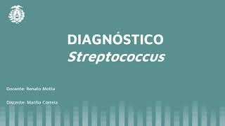 Diagnostico de Streptococcus [upl. by Acirderf]