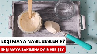 Ekşi Maya Nasıl Saklanır Nasıl Beslenir Nasıl Kullanılır [upl. by Alimaj]