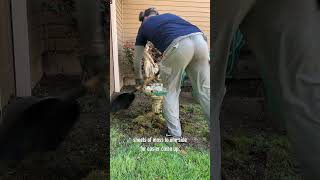 How We Cleaned a Shed Roof Directly Underneath a Deck  Seattle  Portland  Vancouver WA [upl. by Ayikaz719]