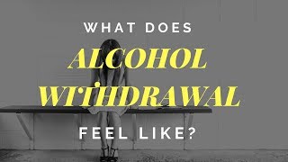 What Alcohol Withdrawal Really Feels Like [upl. by Boony]