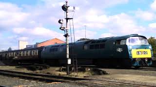 Severn Valley Railway Kidderminster Town D1015 THRASHING out on the 5th October 2024 [upl. by Suivatnad]