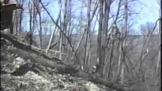 Bell Feller Buncher Cutting on Hillside [upl. by Noyart]