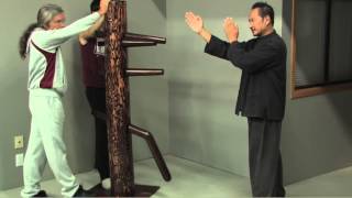 Wing Chun Dummy Intro [upl. by Thenna]