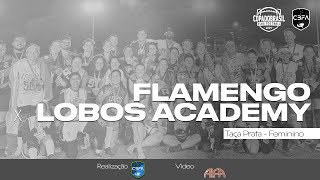 TAÇA PRATA 2024  Flamengo vs Lobos Academy [upl. by Ethelind851]