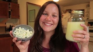 10 Uses Of Leftover Whey From Making Cheese and Yogurt  Homesteading Life [upl. by Tryck]