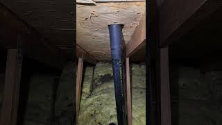 Plumbing vent pipe DISCONNECTED in the attic NOT GOOD atticinspection homeinspection [upl. by Gilford302]