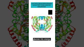 Delve into the Lactate DehydrogenaseLDH test and its role in diagnosing and monitoring cancer LDH [upl. by Treboh]