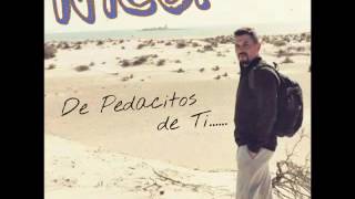 Pedacitos de ti  Antonio Orozco  Cover versión Nico [upl. by Einot]