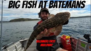 Catching BIG FISH at Batemans Bay  As the Bishop said to the Actress [upl. by Enitsrik902]