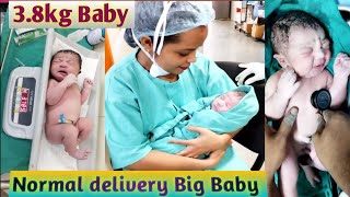 38kg Baby Boy Normal delivery  Very Big and Active Baby Delivered  Newborn baby  Cute Baby [upl. by Anawahs]