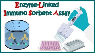 ELISA  Enzyme linked immonosorbent assay  ELISA test  Types of ELISA  Direct and Indirect ELISA [upl. by Nevur699]