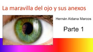 Histologia del ojo Parte 1 [upl. by Clayborne867]